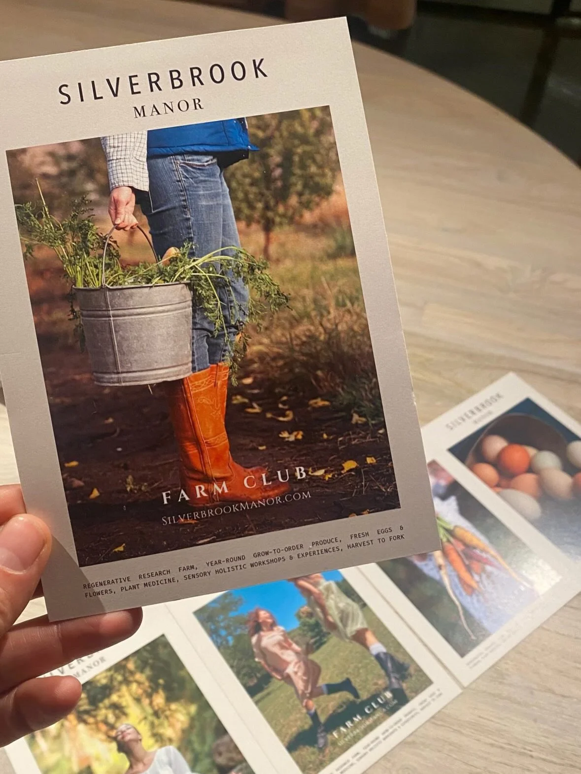 Join the #SilverbrookManor farm club to grow with us year round 👩🏻&zwj;🌾 #hudsonvalley #millbrook #landaccess #garden