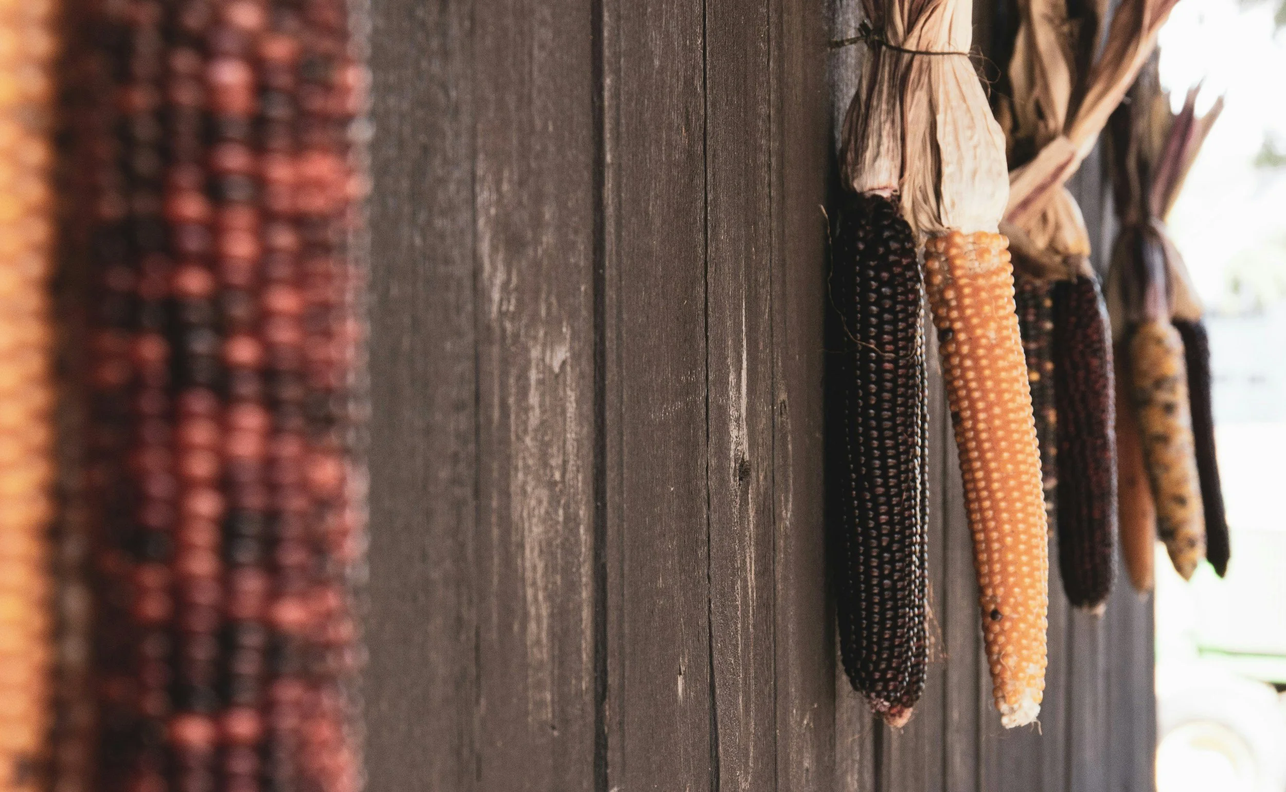 What’s Ready? Crop Walk