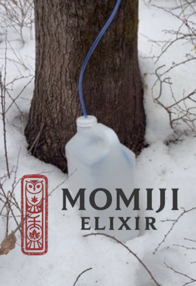 Screenshot 2026-04-19 at 5.41.31 PM.png