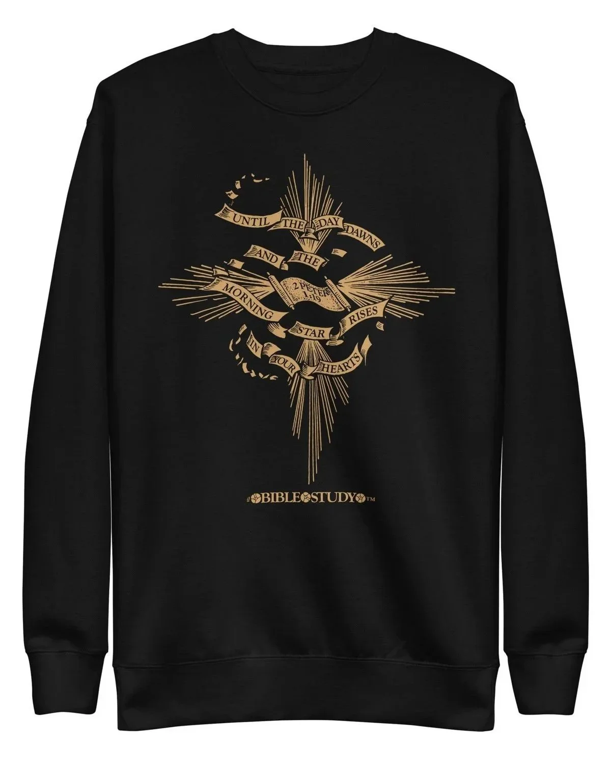unisex-premium-sweatshirt-black-front-64865f3ddbbc8.jpg