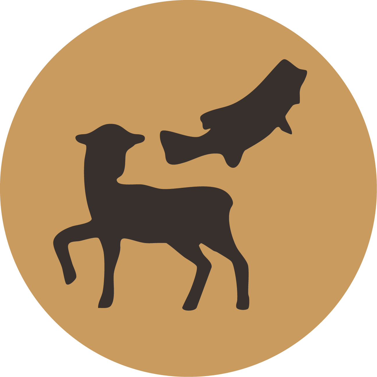 Cast & Feed Logo-08.png