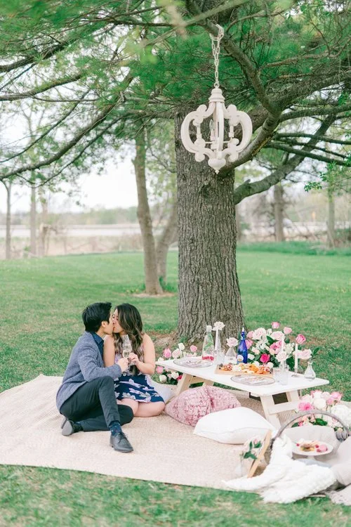 Ruby Manor Picnic Proposal