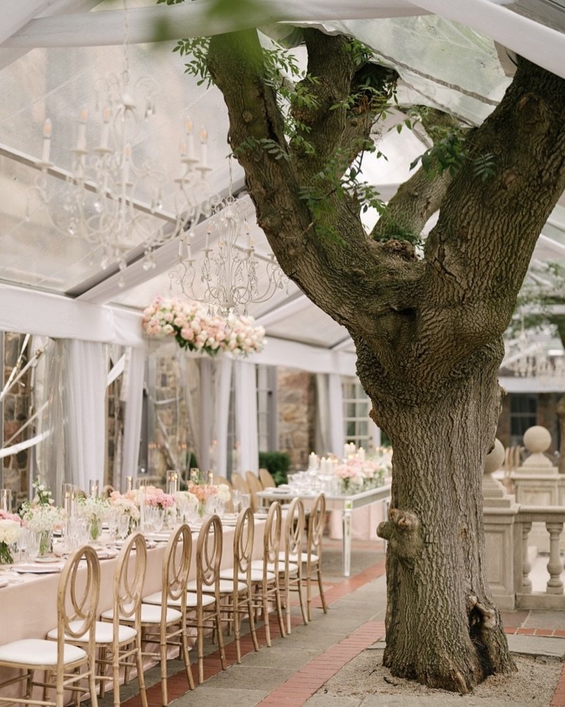 This is your sign to have a garden setting for your reception.🍃

Imagine dining al-fresco as you watch the sun set around you, transitioning from a sunlit dinner to dancing the night away under the stars.✨

A garden reception exudes an elegant and r