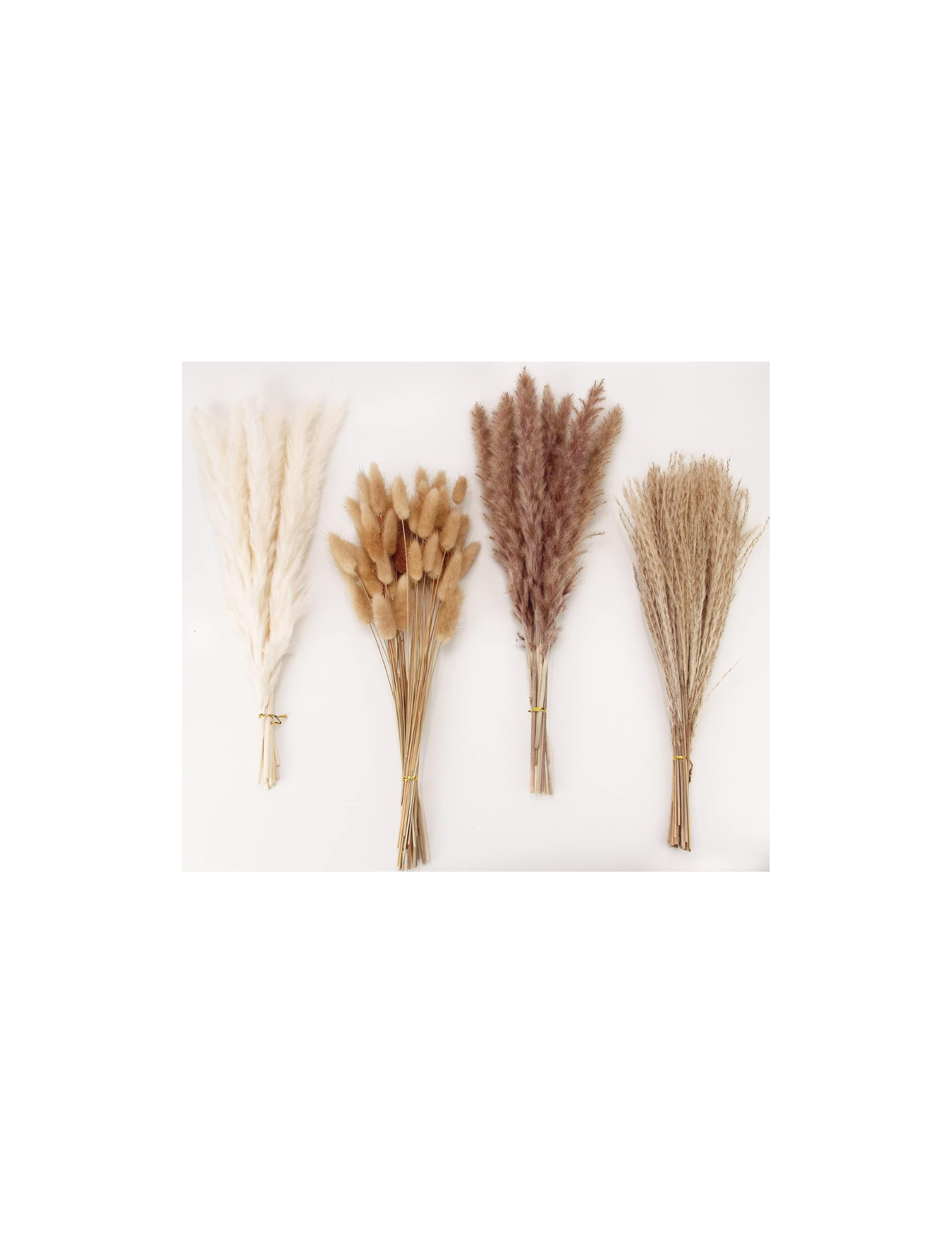  Rating is 4.4 — Pampas Grass Decor x 100 PCS (White and Brown) 