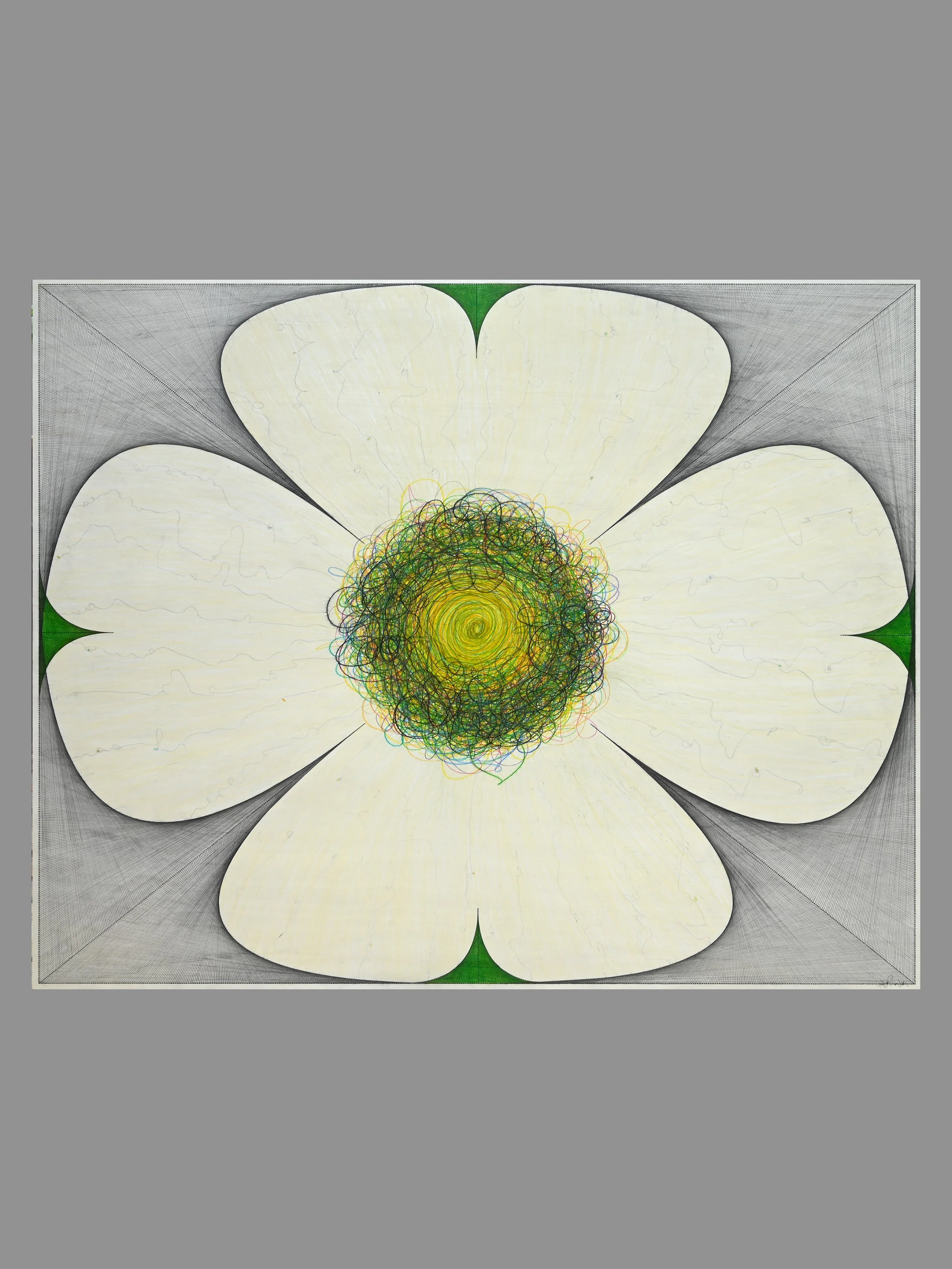 The Clover Particle.jpg