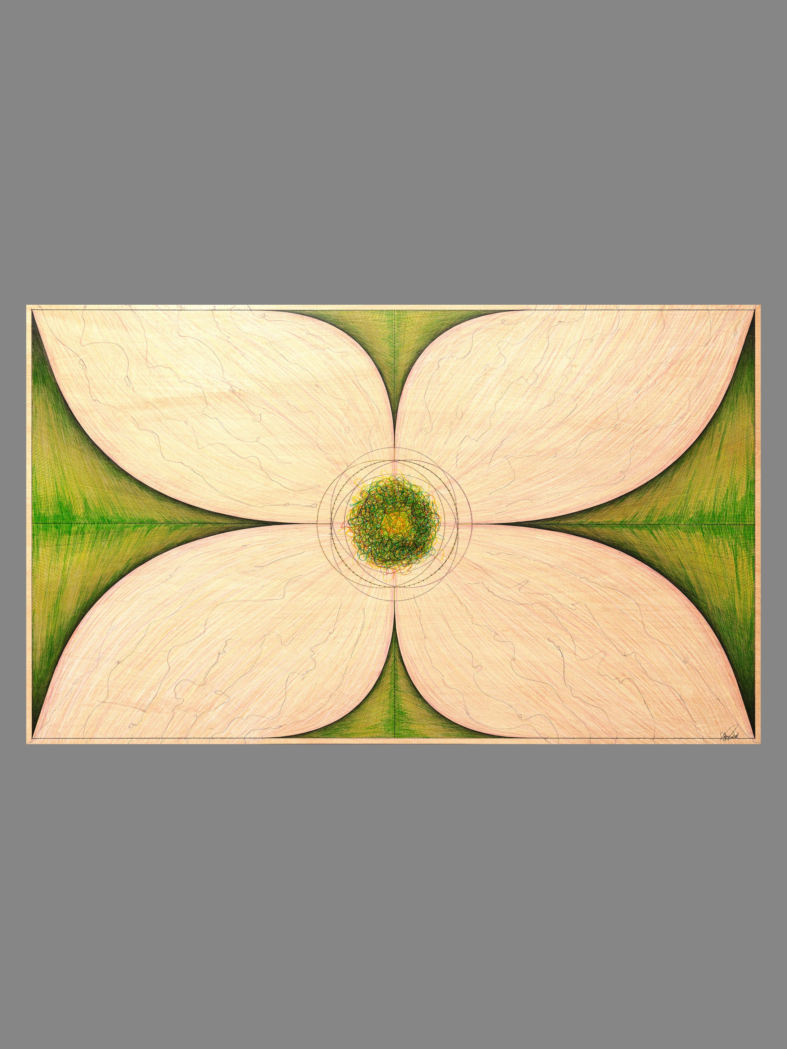 Cosmic Flower SQSO.jpg