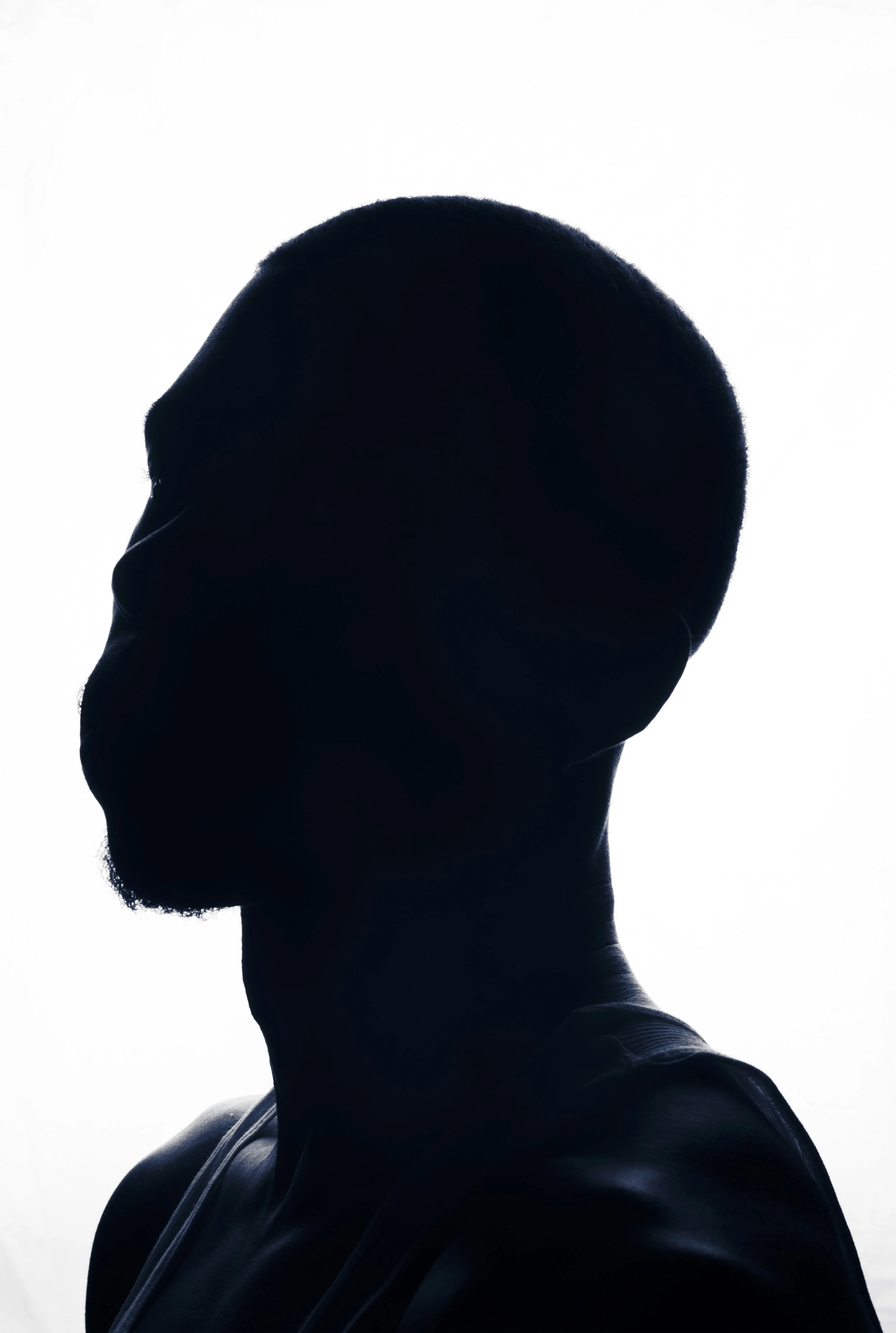 silhouette II -  $750 ($1250 for the matching pair) - (edition 1/1) - 18x24 inches