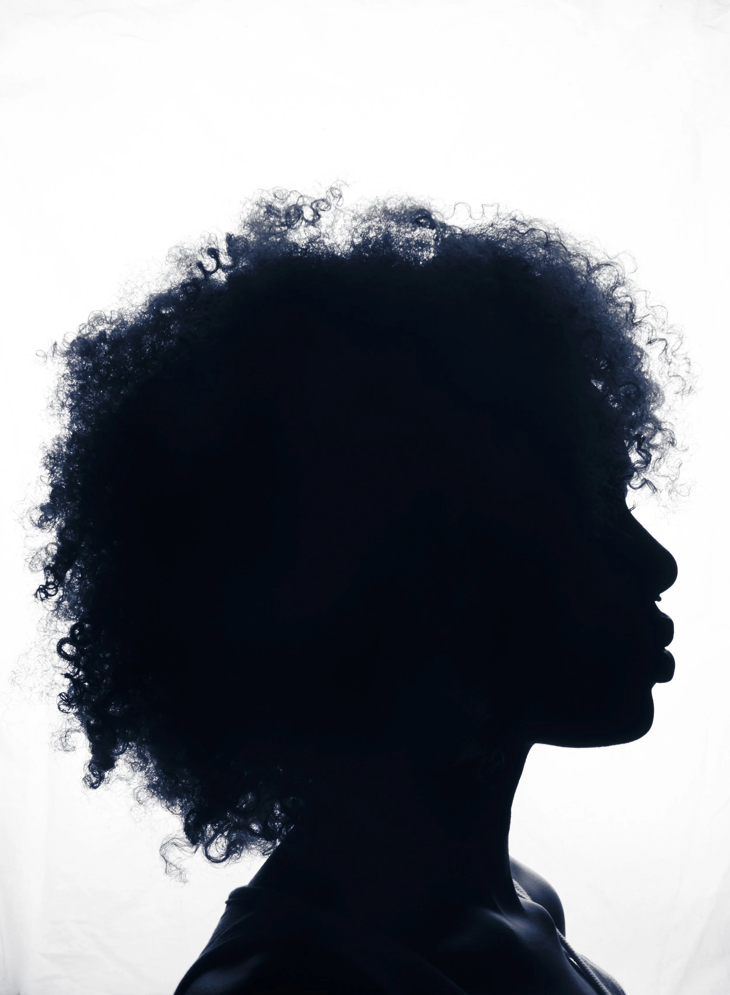 silhouette II -  $750 ($1250 for the matching pair) - (edition 1/1) - 18x24 inches