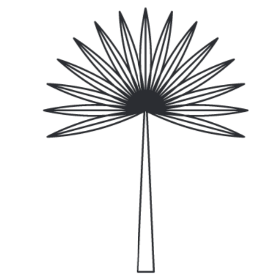 Outline of a sabal palm frond.