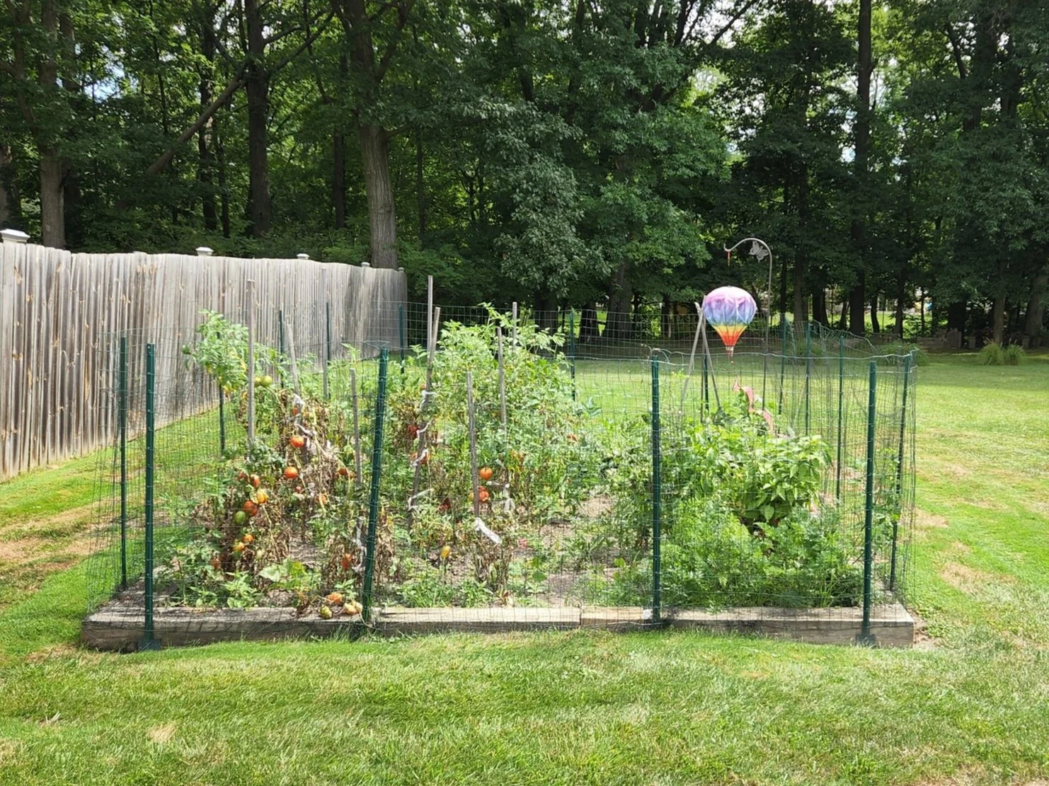 Kitchen Garden Installation
