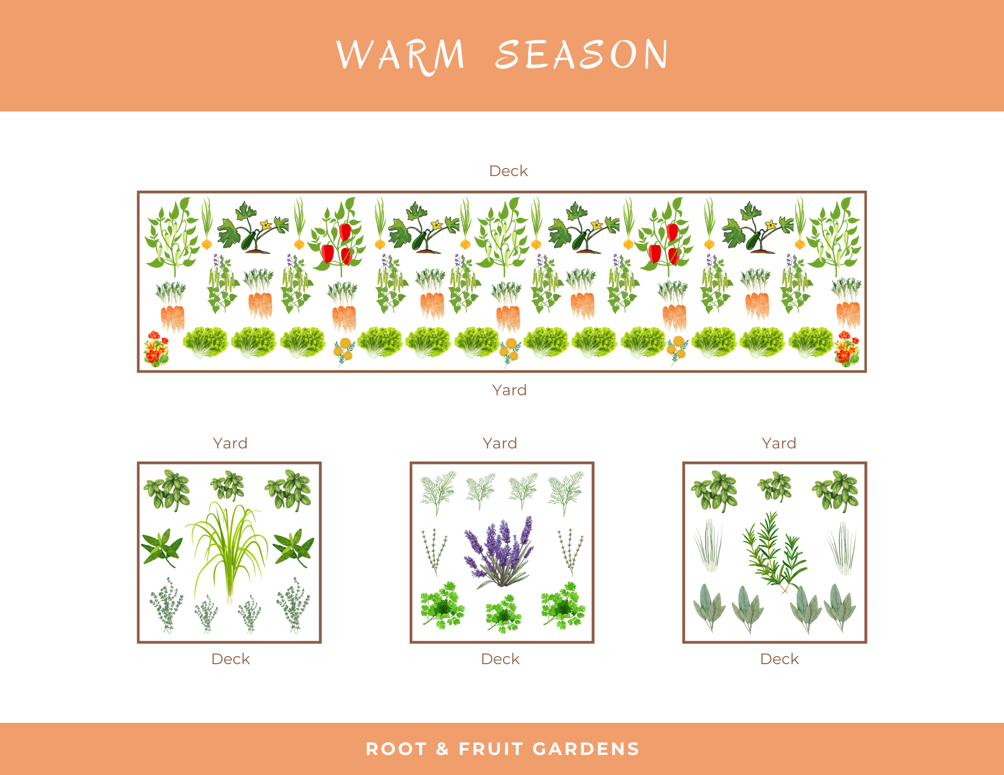 Garden Planting Plan