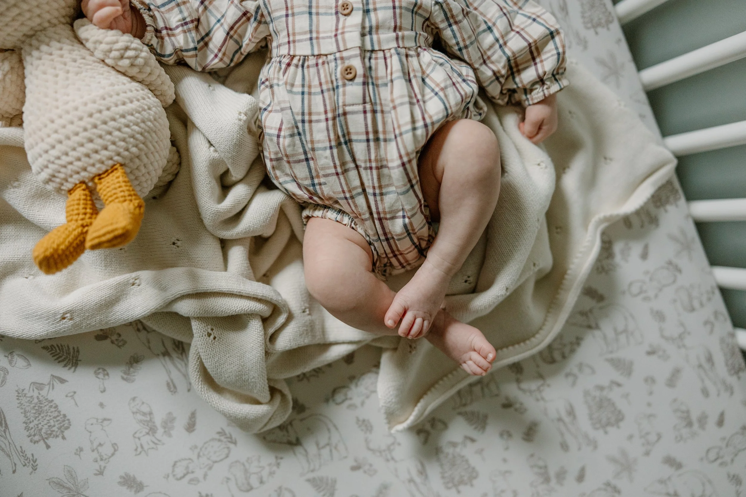 Lindy_Photo_Co_ Edith_Gatza_2026_0129.jpg