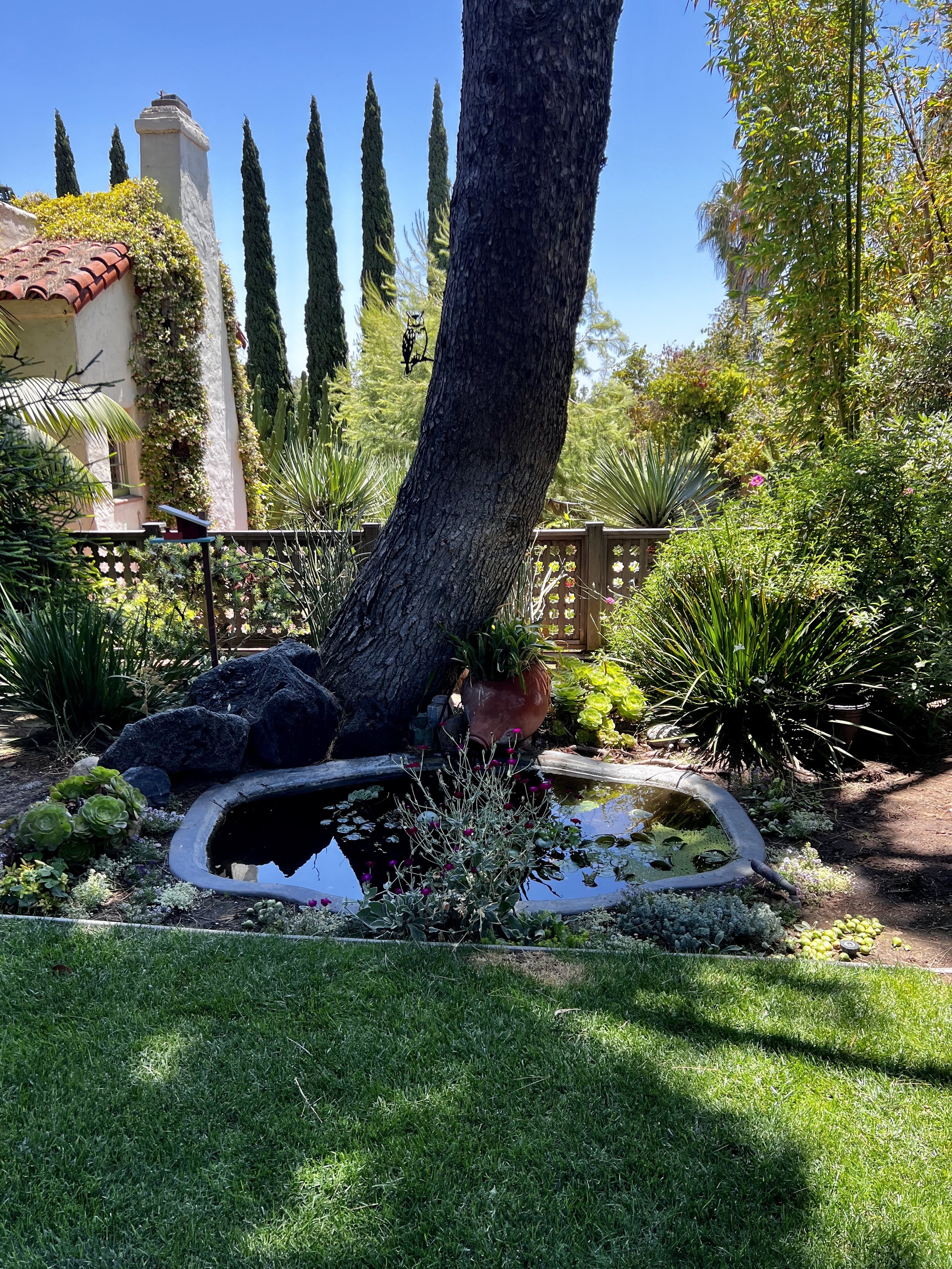 California living