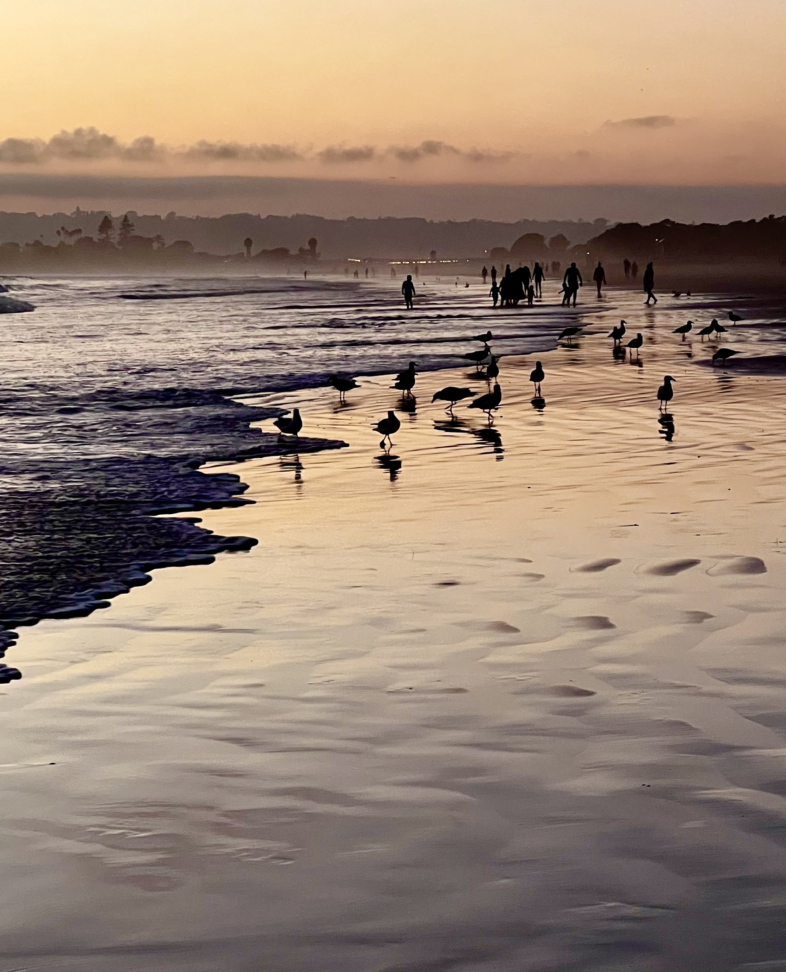 Nothing better than a late afternoon beach walk!