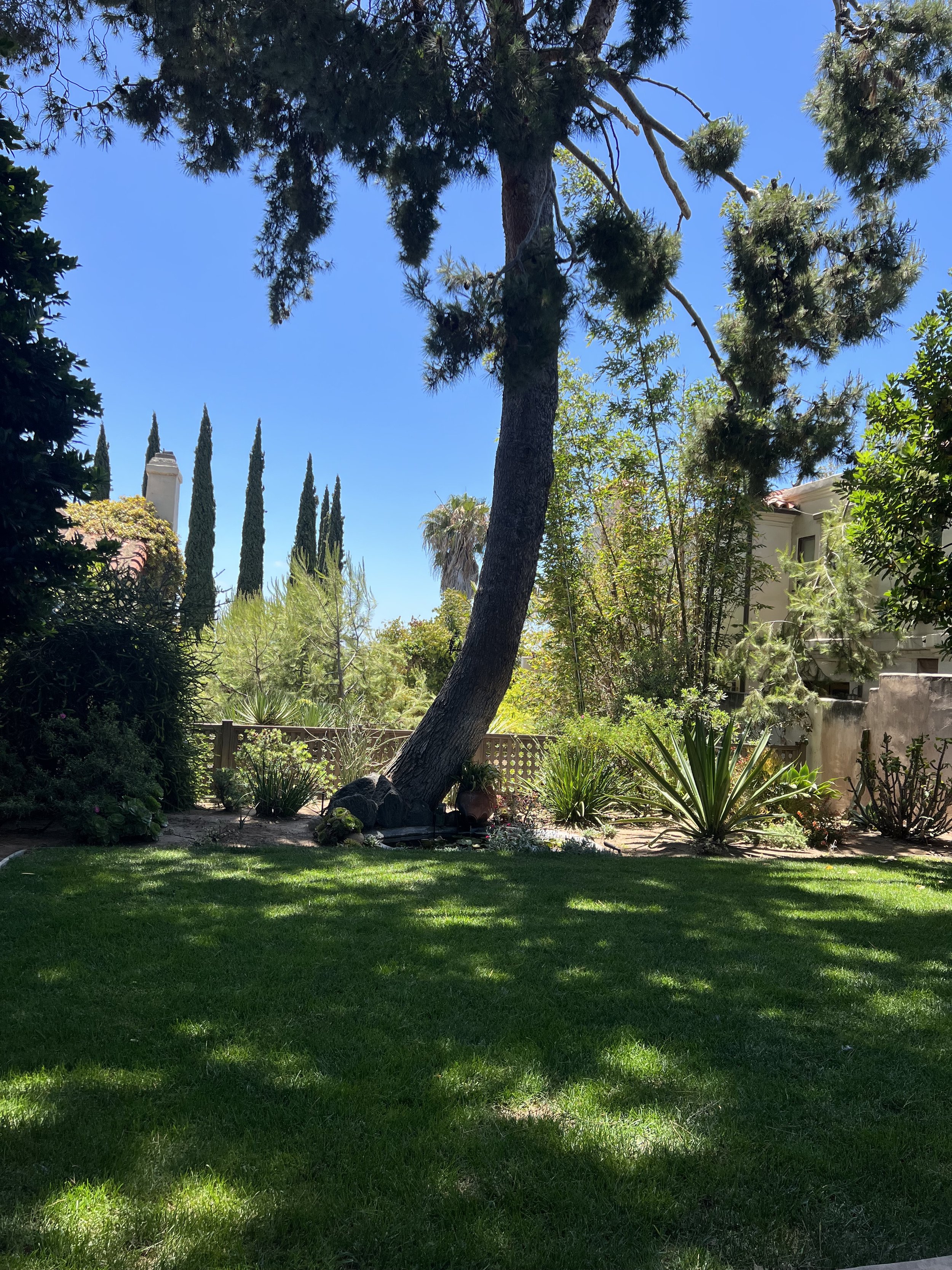 Beautiful and private back yard with fish pond