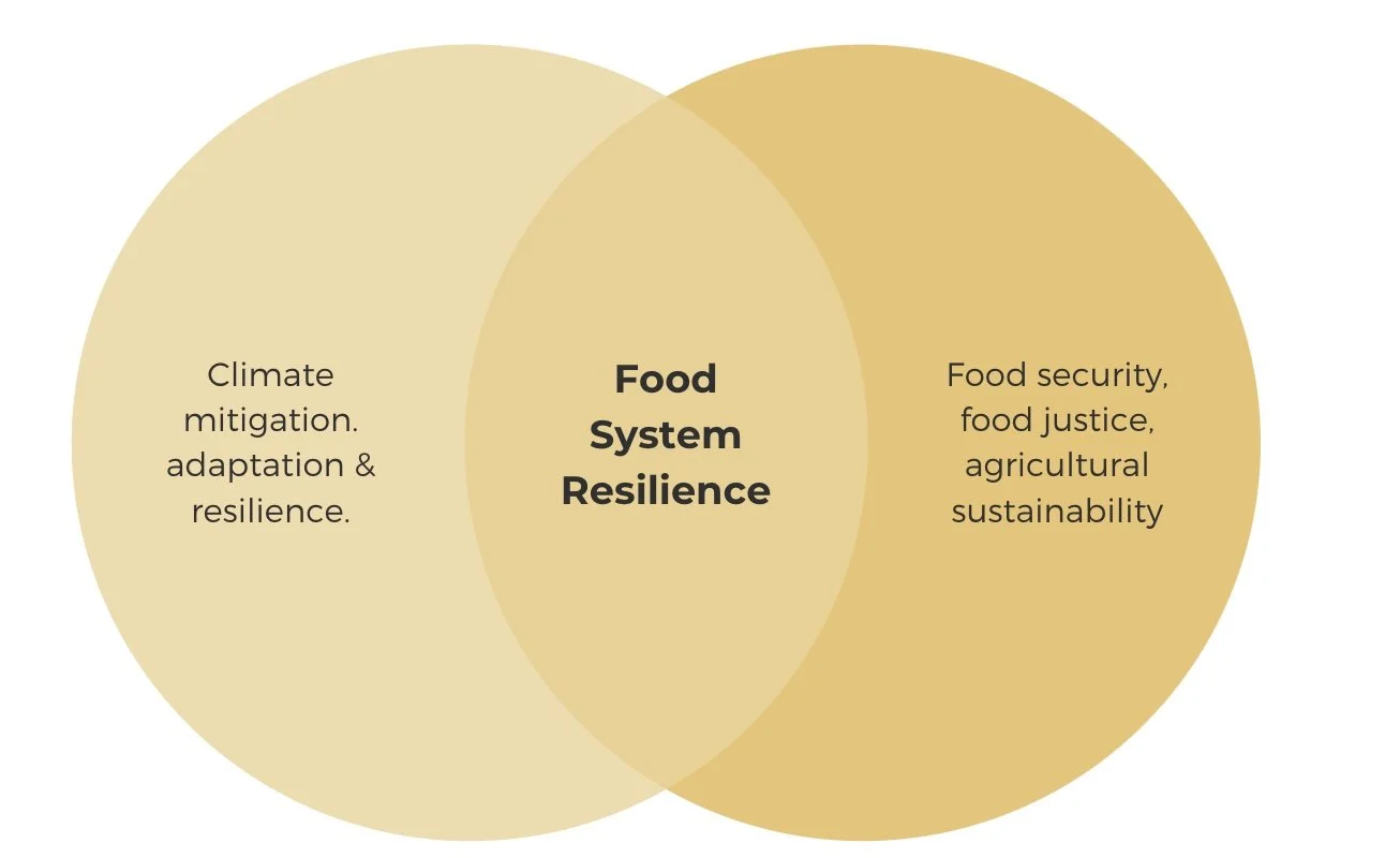NJ Food Democracy Collaboratives