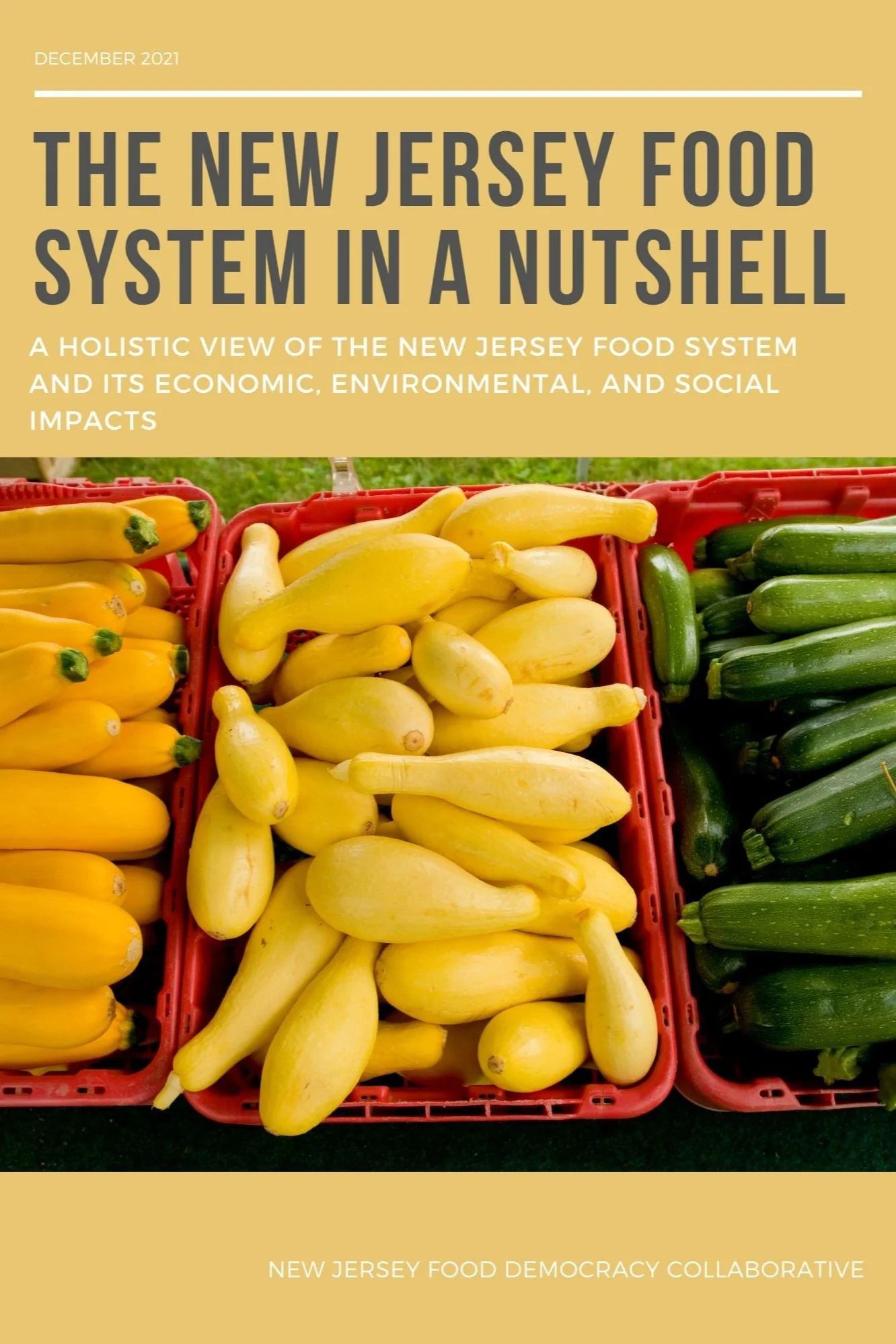 NJ Food Democracy Collaboratives