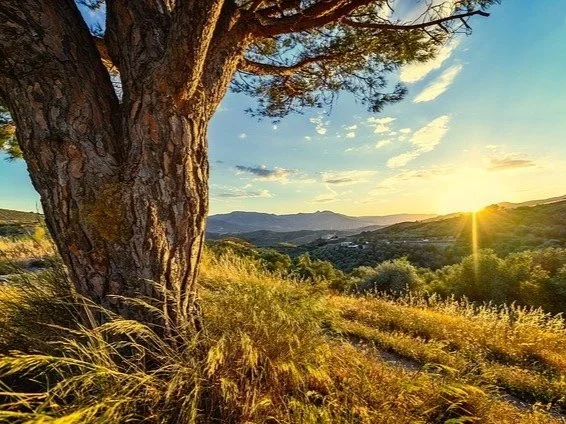 Look How Far You’ve Come!