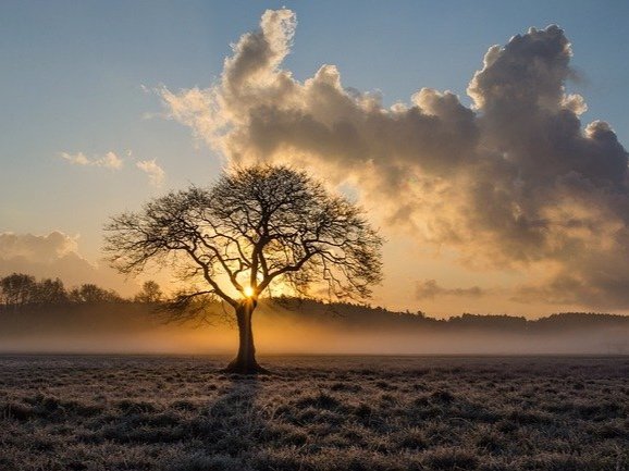 His Love Abides In You