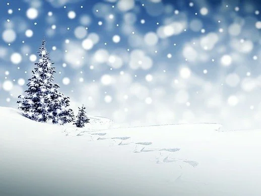 Embrace Wonder This Advent