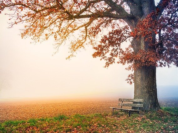 Take Courage My Friend