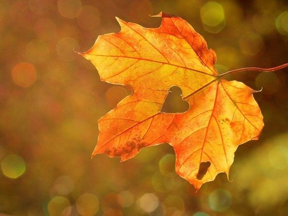 Enjoy Each Precious Moment