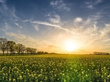 Treasure In The Valley