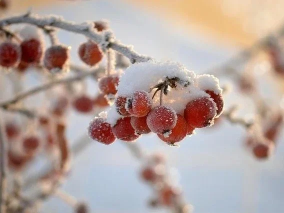 Keep Your Gaze Fixed On Jesus