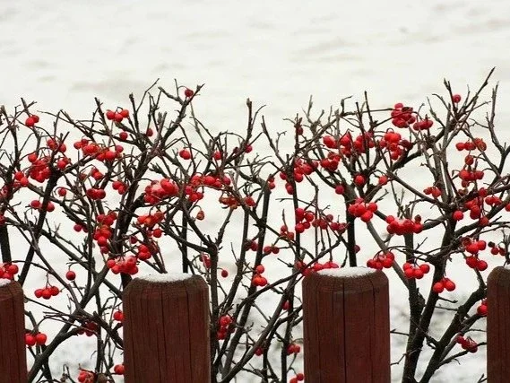 Be Strong In The Lord