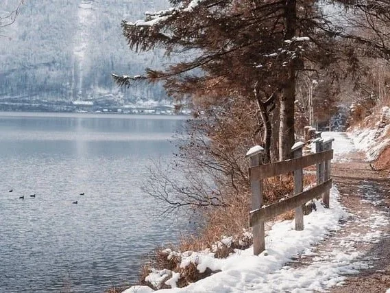 Jesus Is Your Strength