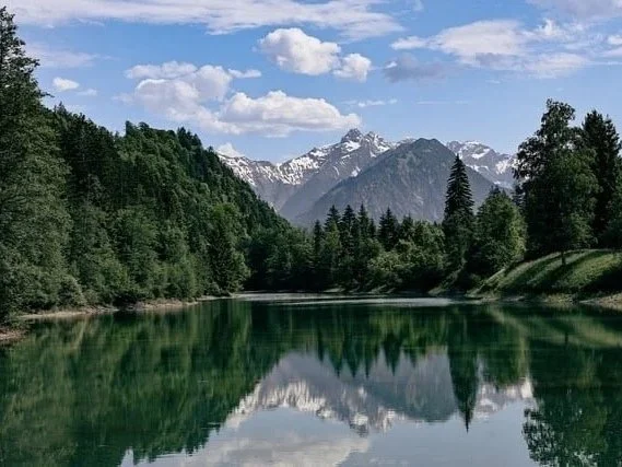 Refreshed to Refresh