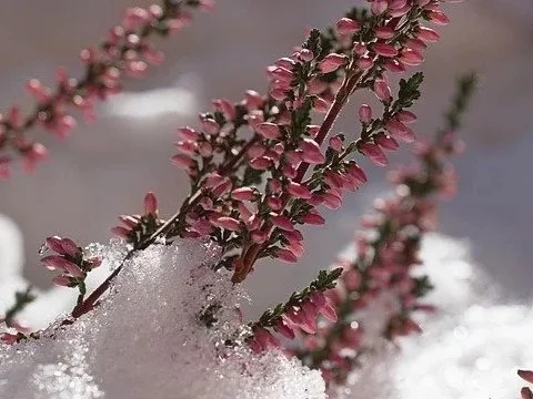 Find His Peace Today