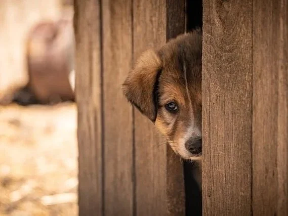 Look Up &amp; Trust God Today