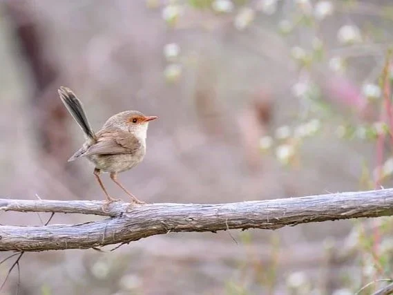 You Are Mighty In God