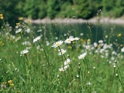 You Are Precious In God’s Sight