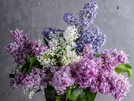 You Are Wildly Loved