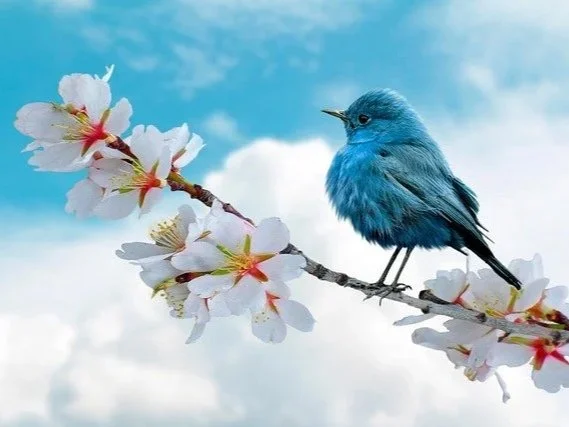 God Is Bringing Beauty