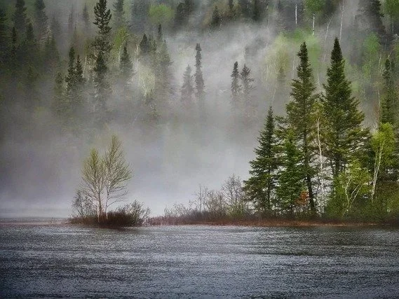 You Will Become Like A Well-Watered Garden