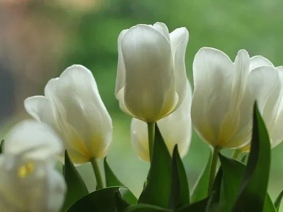 Look For New Life To Emerge