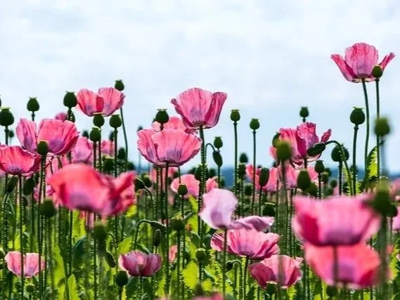 Give Of The Gift You’ve Received