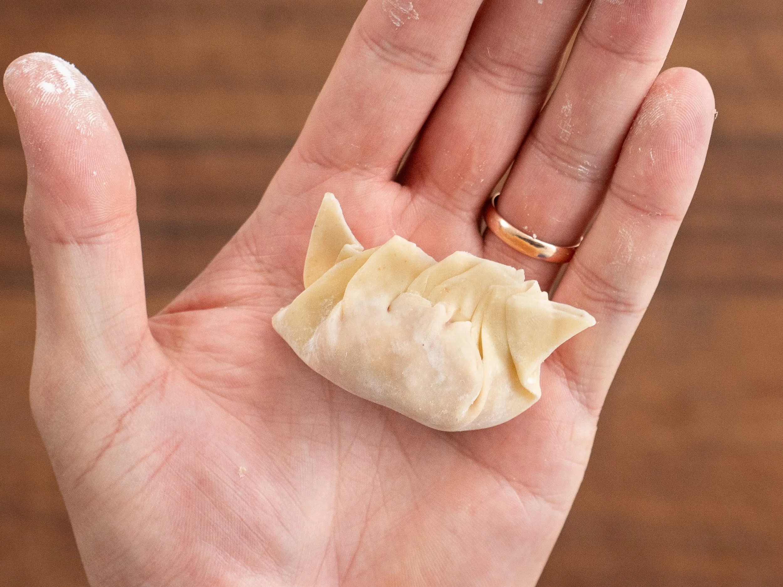 wonton in a hand