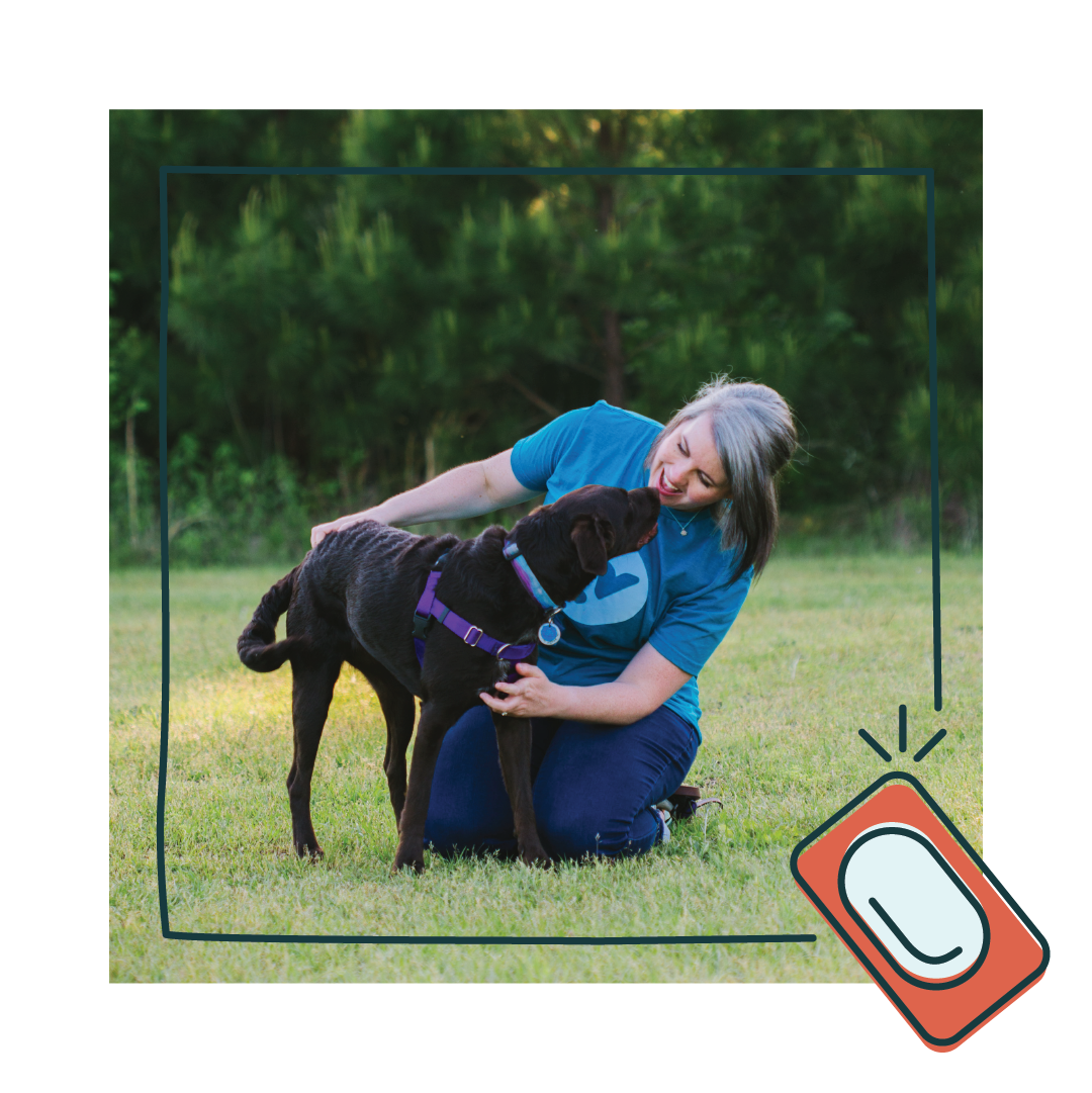 Canine Enrichment 101 — Wonderdog Training, LLC
