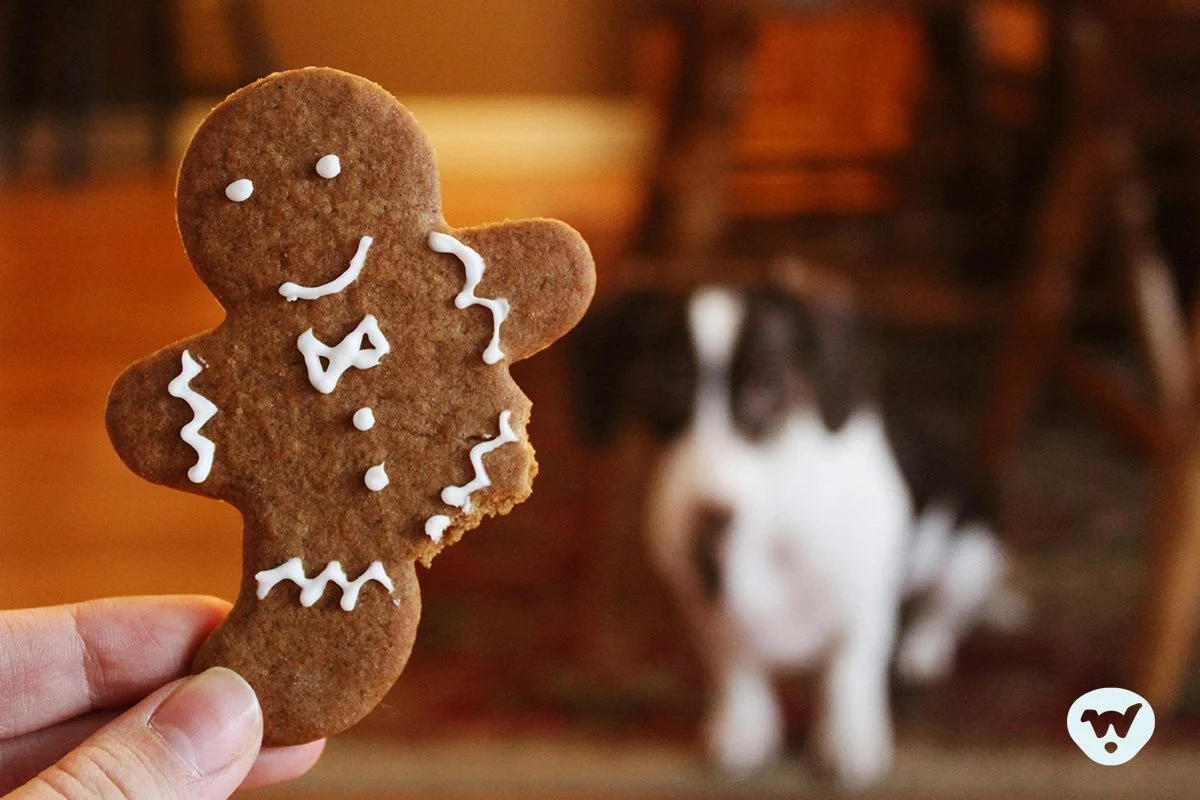 Holiday Management Tips