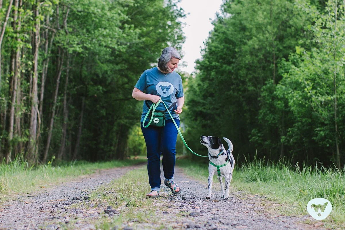 Your Reactive Dog Doesn’t Need Obedience Training&nbsp;