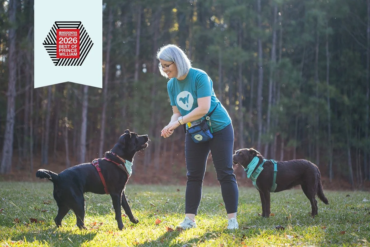 Best Dog Trainer in Prince William County