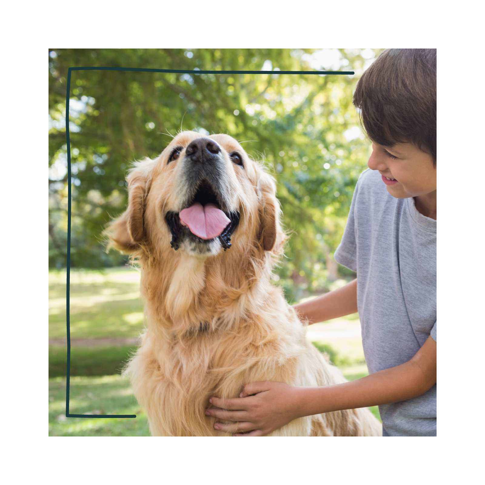 A young boy and his golden retriever smile during a clicker training session.