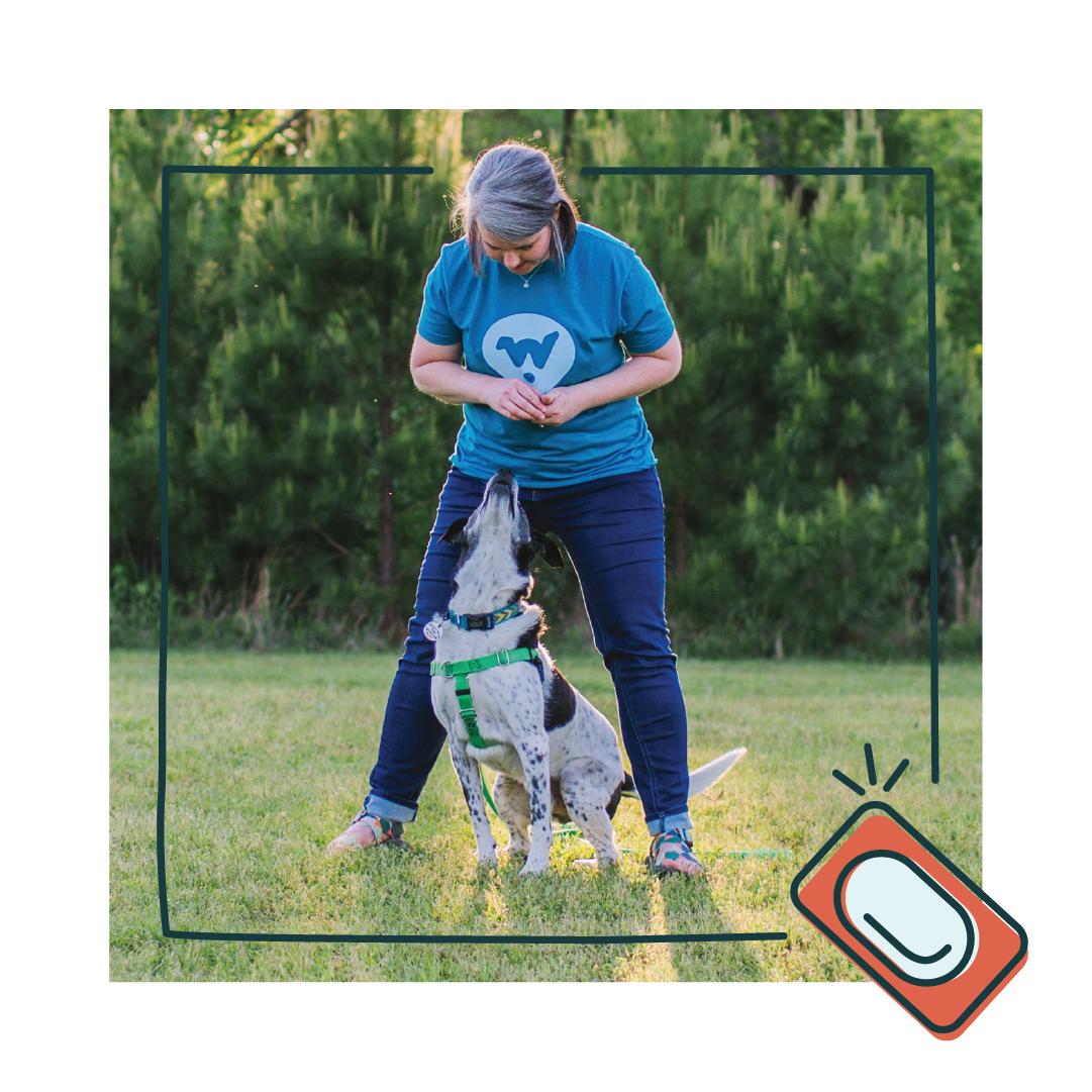 Dog trainer with black and white dog sitting by her feet.
