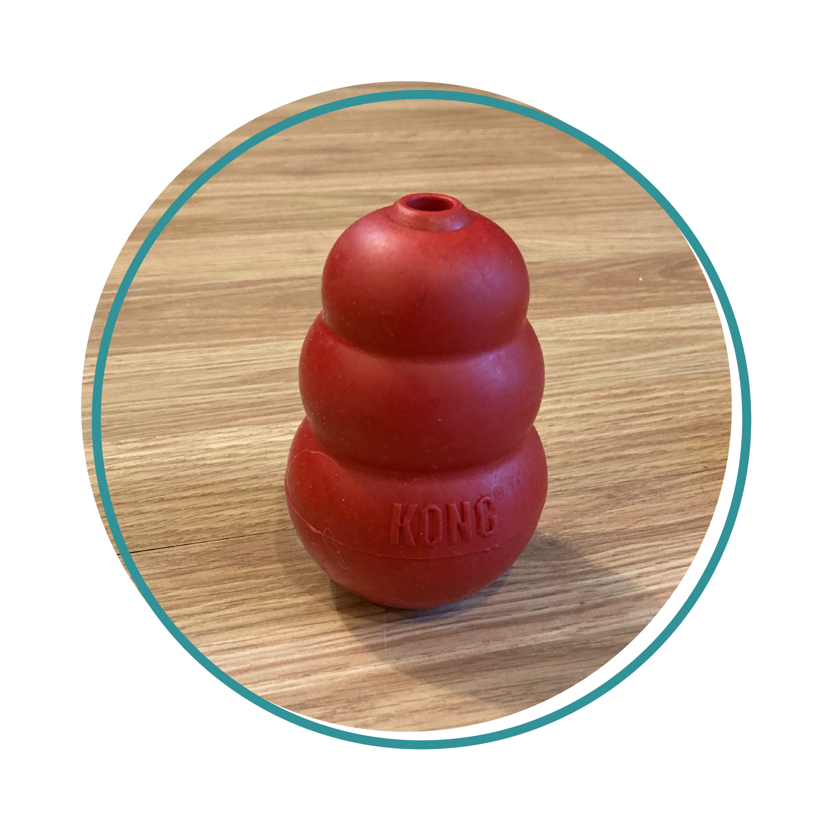 Kong Classic  Canine Enrichment Toy