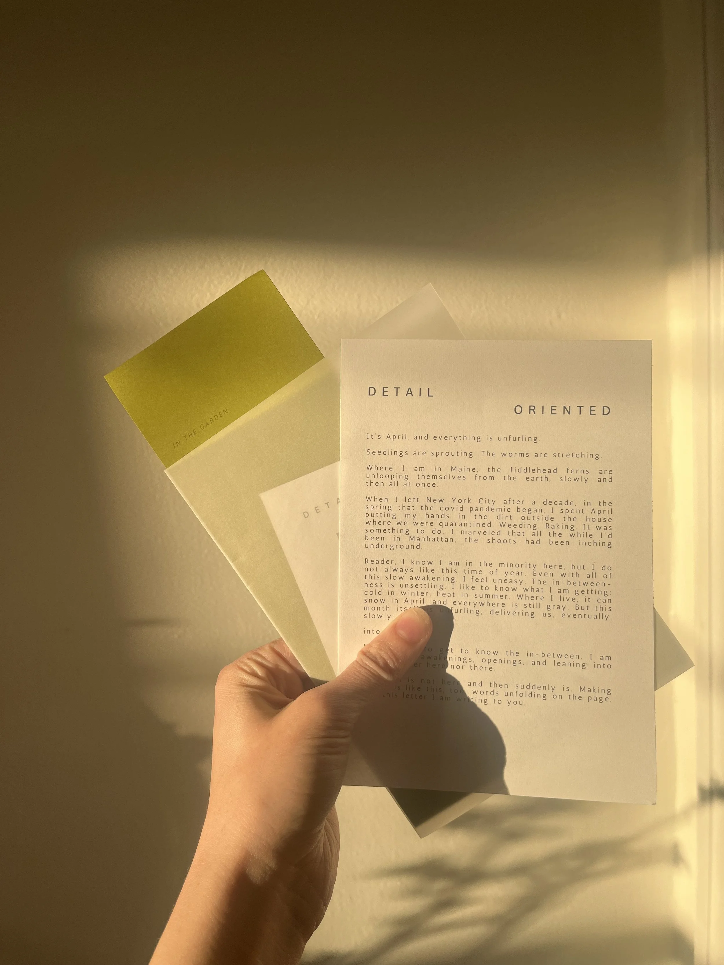 D e t a i l  O r i e n t e d