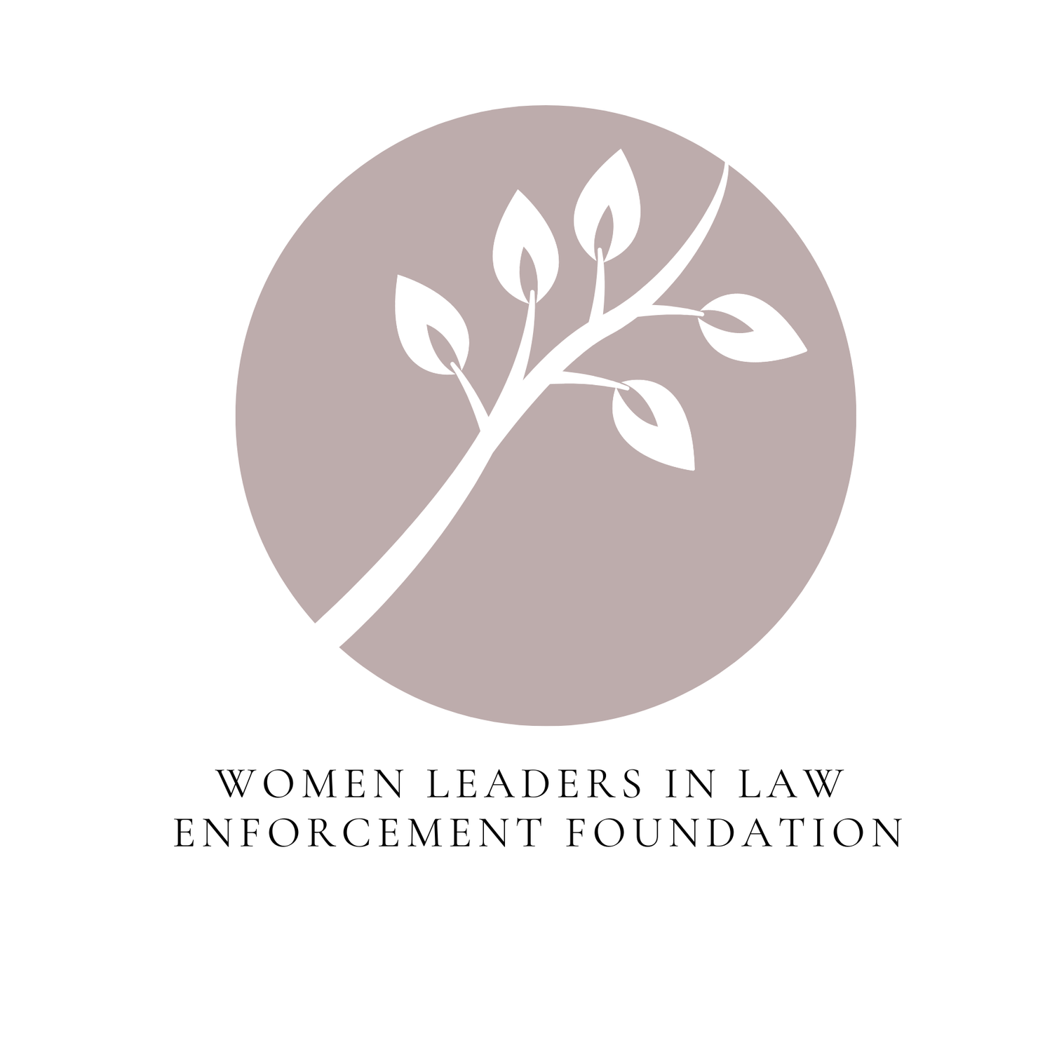 Women Leaders in Law Enforcement Foundation